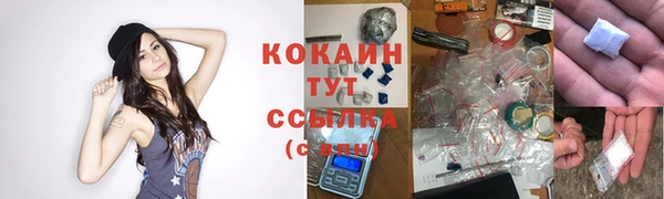бошки Алексин