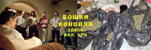 бошки Алексин