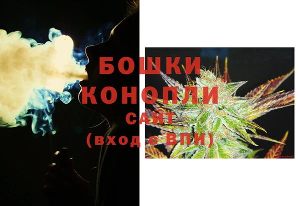 бошки Алексин