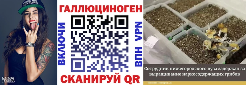 darknet клад  закладки  Анапа  Псилоцибиновые грибы мицелий 